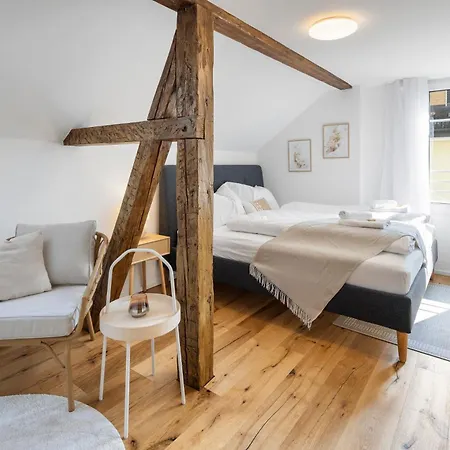 Apartmán Klara 1034 - Olma, Spital, Uni St- Gallen