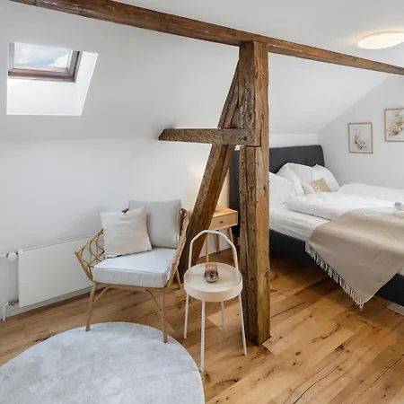 Apartament Klara 1034 - Olma, Spital, Uni St- Gallen