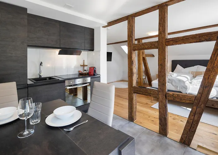 Apartamento Klara 1034 - Olma, Spital, Uni St- Gallen *