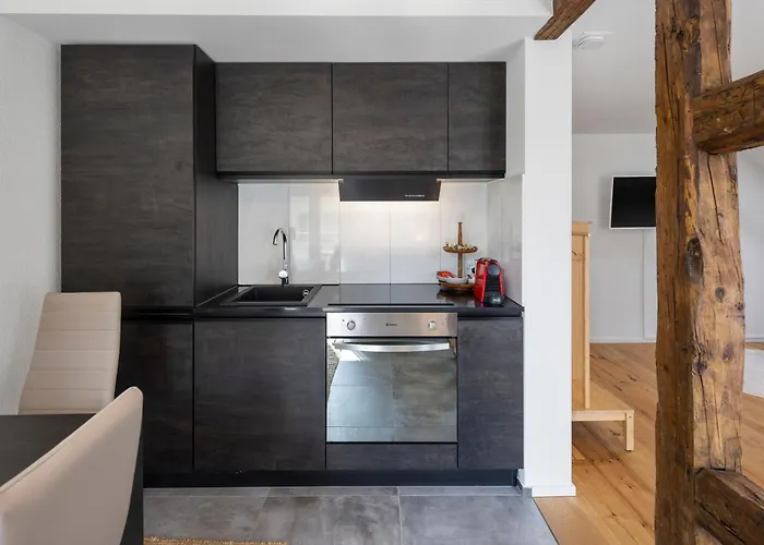 Apartamento Klara 1034 - Olma, Spital, Uni St- Gallen