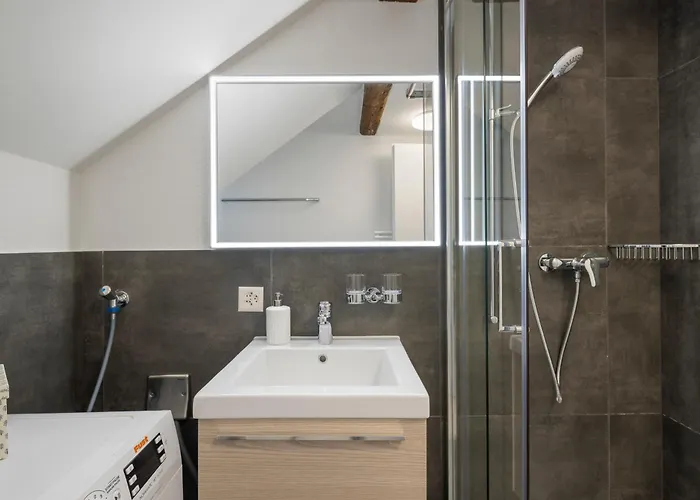 Appartement Klara 1034 - Olma, Spital, Uni St- Gallen